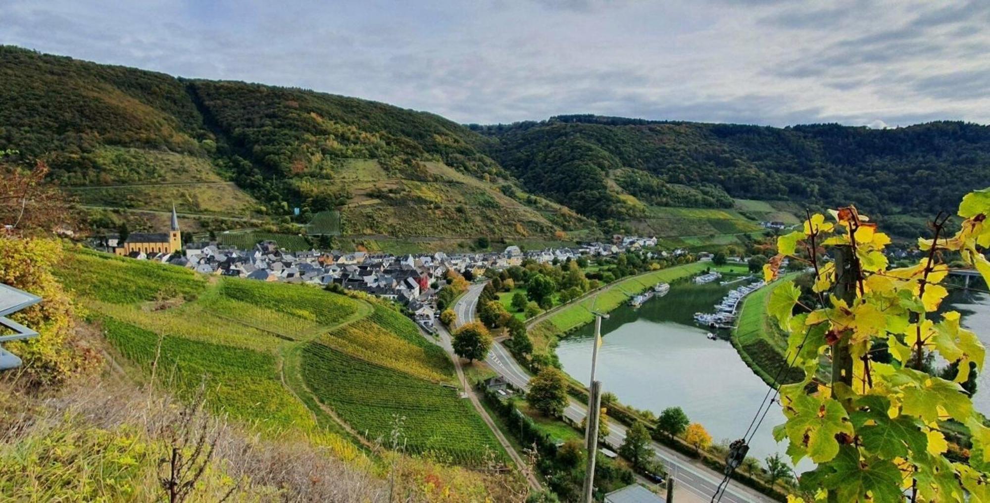 Ferienwohnung An Der Mosel, Romeo ゼンハイム エクステリア 写真